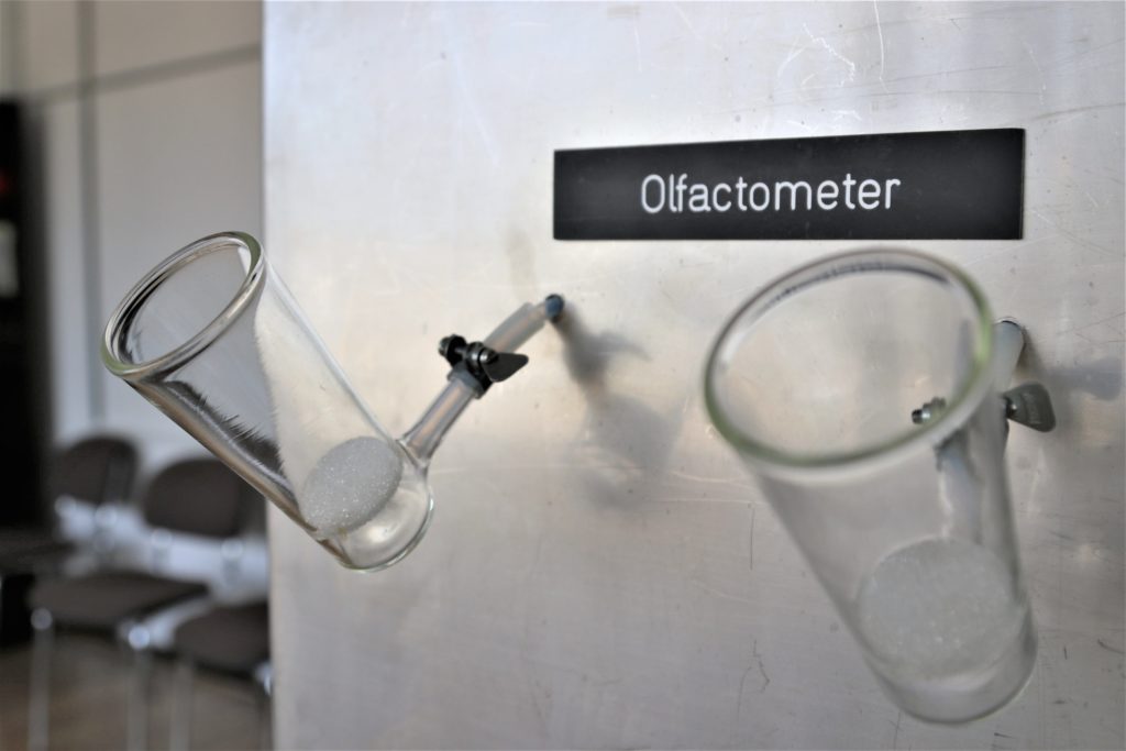 Olfactometer